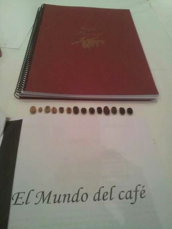 Cata brasile?a de caf?